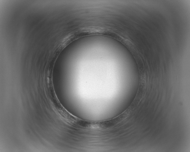 X0000080140264200612081034