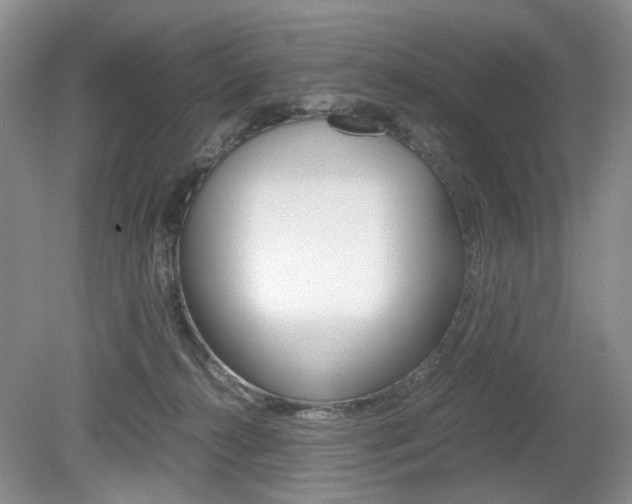 X0000080140272200612081034