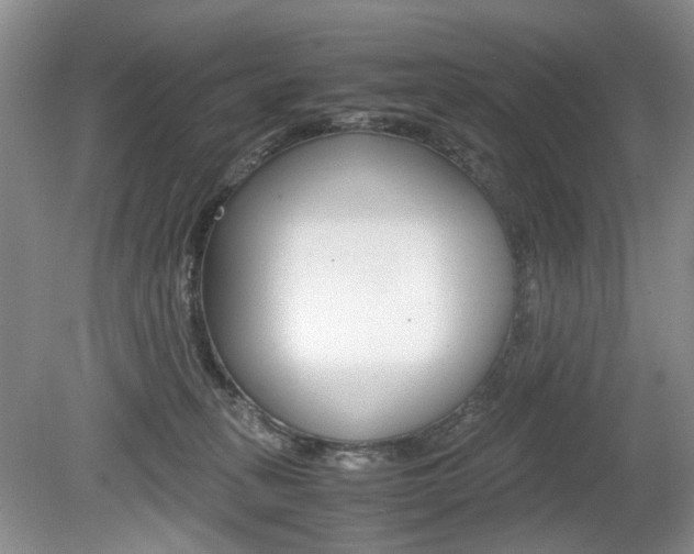 X0000080140275200612081034