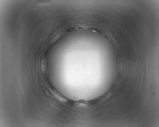 X0000080140285200612081034