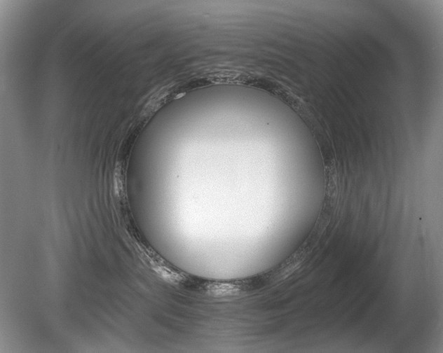 X0000080140287200612081034