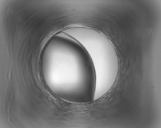 X0000080140289200612081033