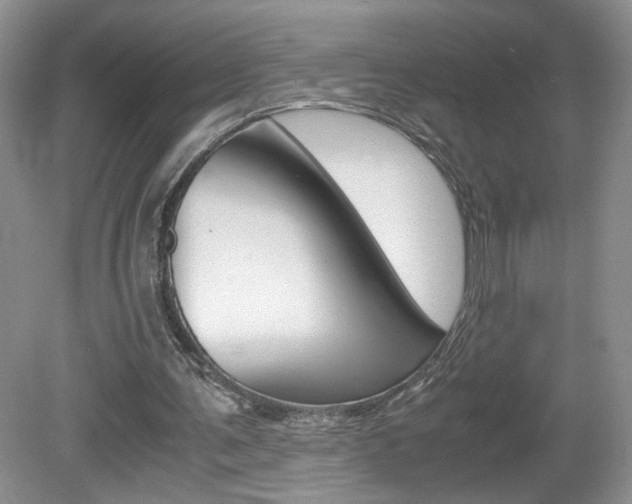 X0000080140291200612081033