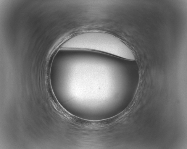 X0000080140293200612081033