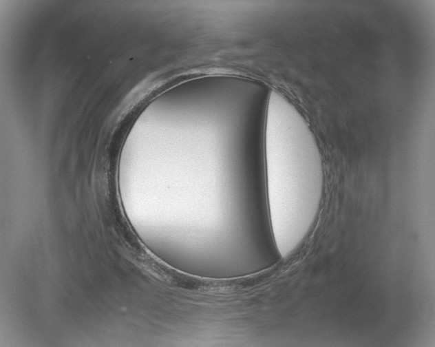 X0000080140295200612081033