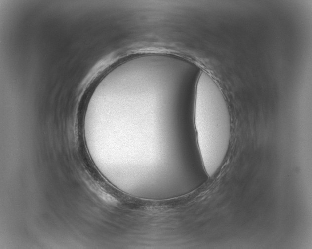 X0000080140296200612081033