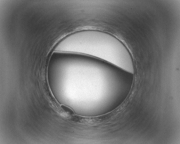 X0000080140297200612081033
