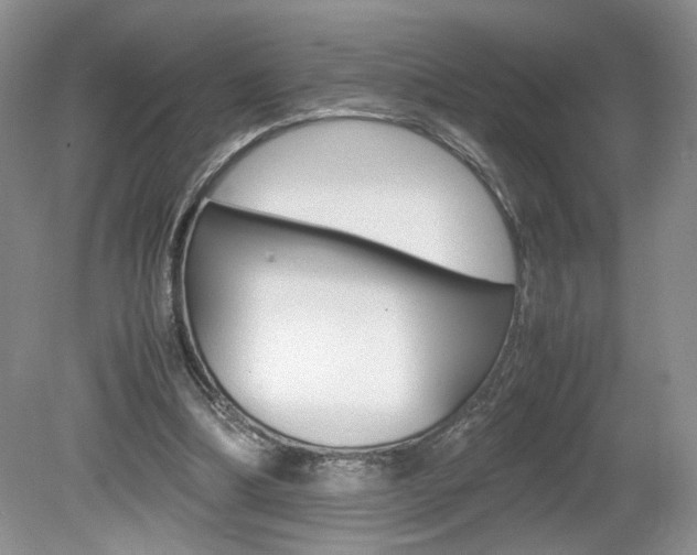 X0000080140298200612081033