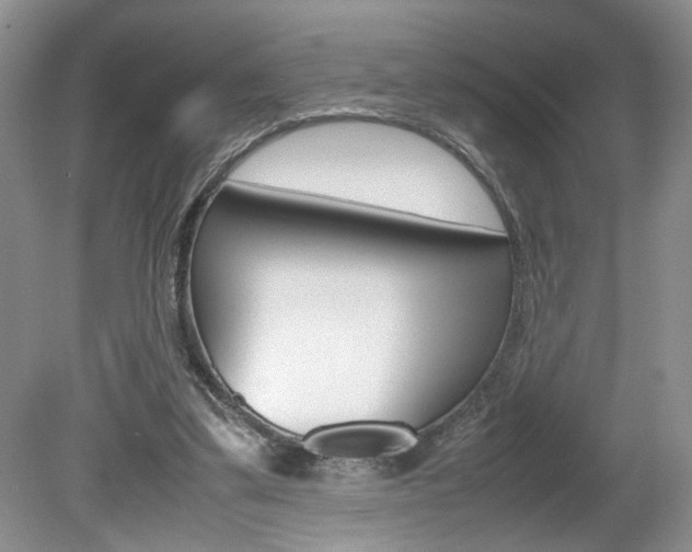 X0000080140299200612081033