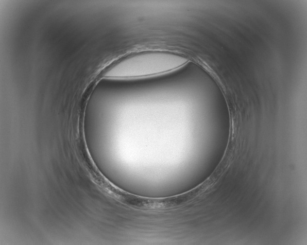 X0000080140301200612081033