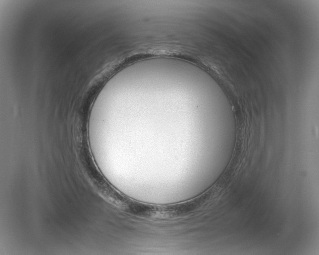 X0000080140303200612081033
