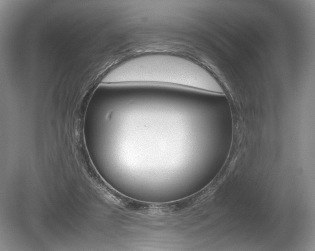 X0000080140305200612081033