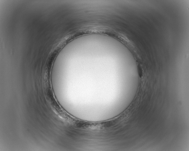 X0000080140306200612081033
