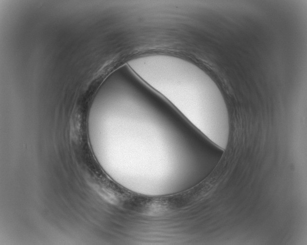X0000080140308200612081033