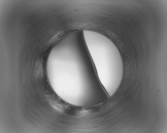 X0000080140312200612081033