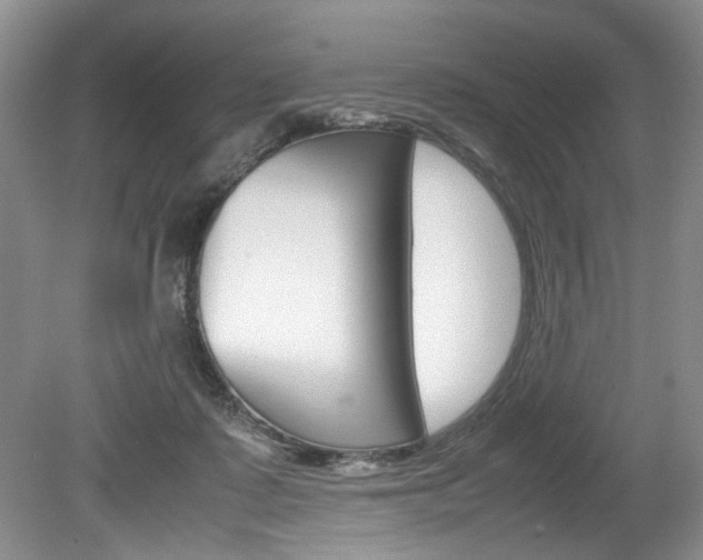 X0000080140315200612081033