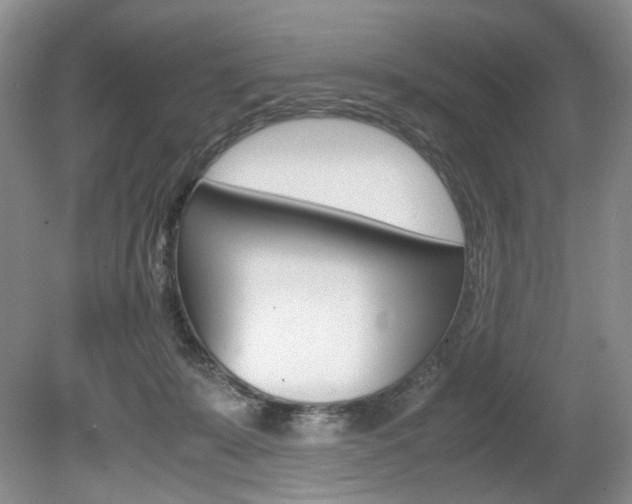 X0000080140319200612081033