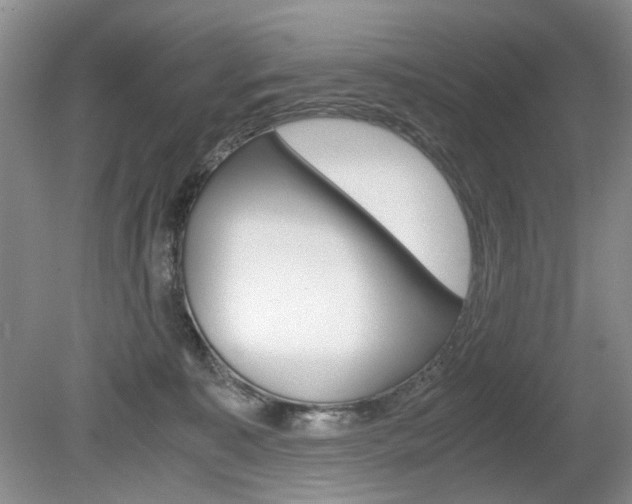 X0000080140323200612081033