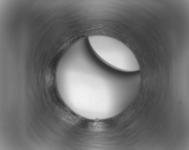 X0000080140324200612081033