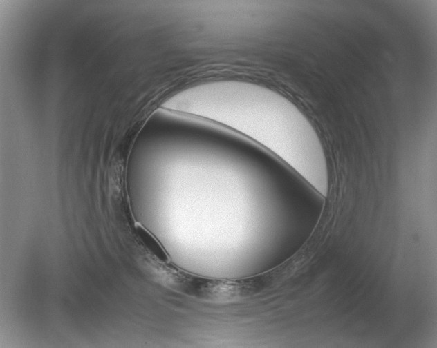 X0000080140325200612081033