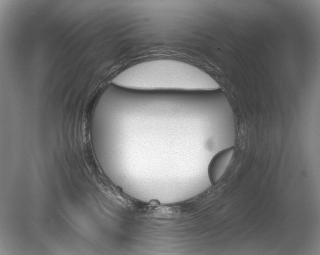 X0000080140330200612081033