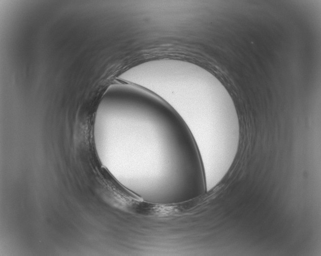 X0000080140333200612081033