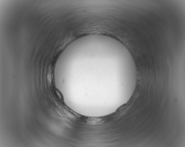 X0000080140334200612081033