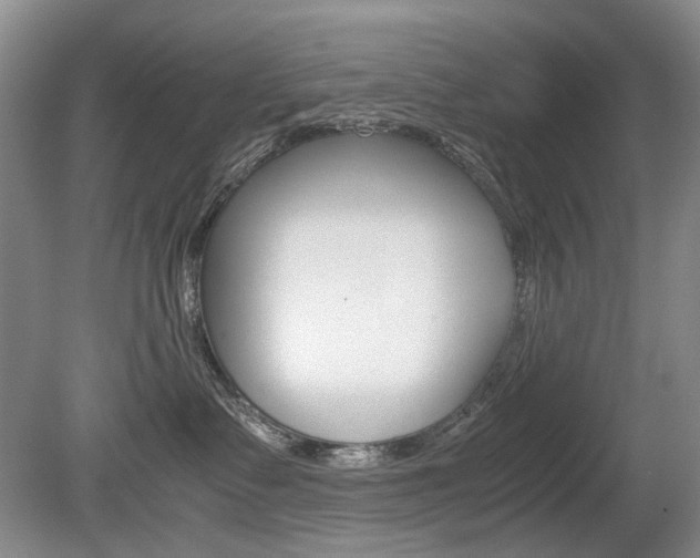 X0000080140335200612081033
