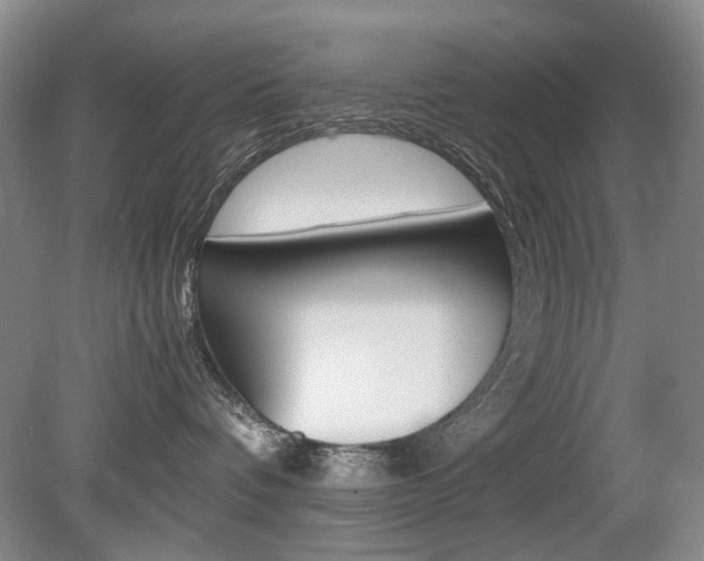 X0000080140336200612081033