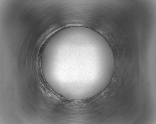X0000080140338200612081032