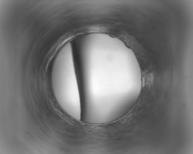 X0000080140339200612081032