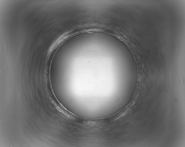 X0000080140341200612081032