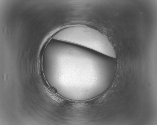 X0000080140342200612081032
