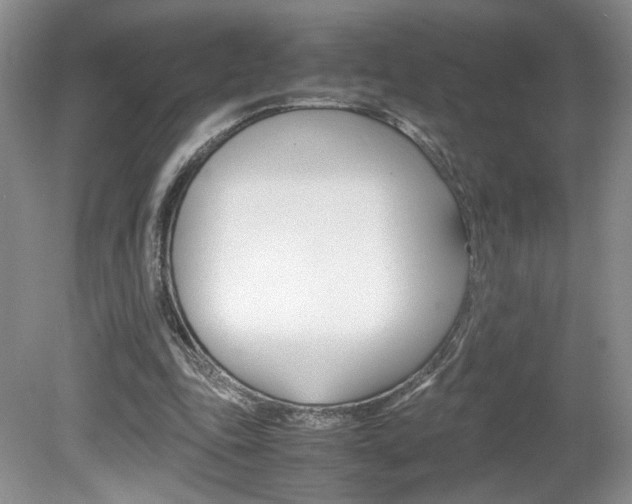 X0000080140343200612081032