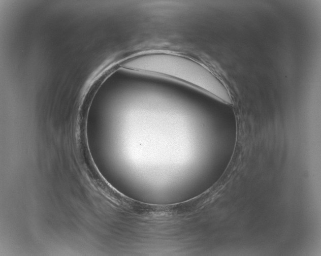 X0000080140344200612081032