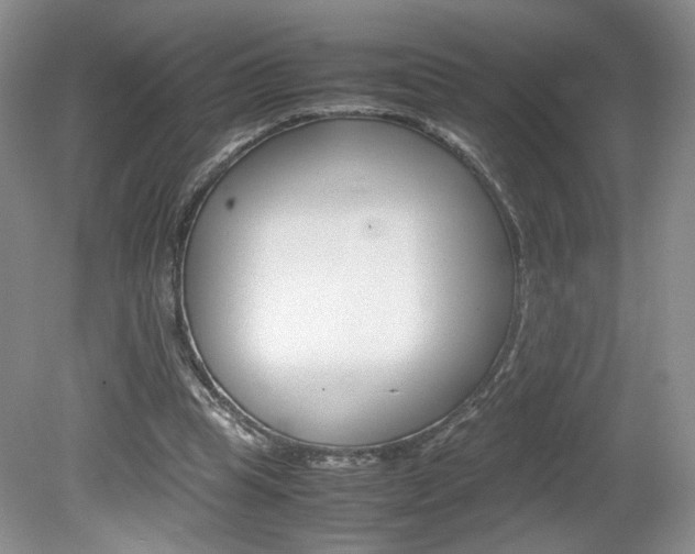 X0000080140345200612081032