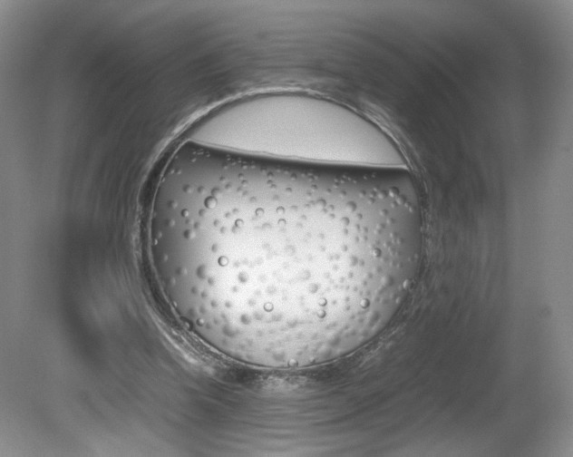 X0000080140346200612081032