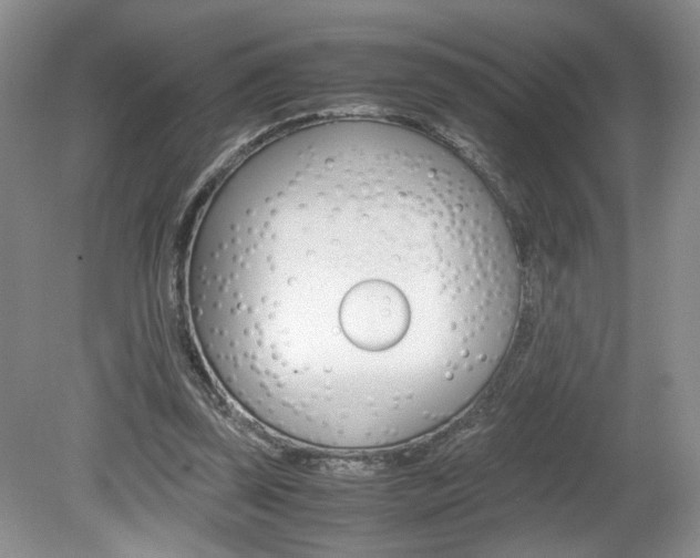 X0000080140347200612081032