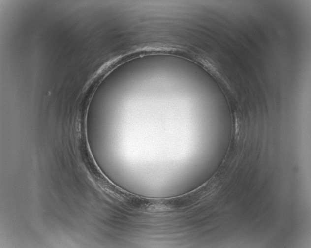 X0000080140348200612081032