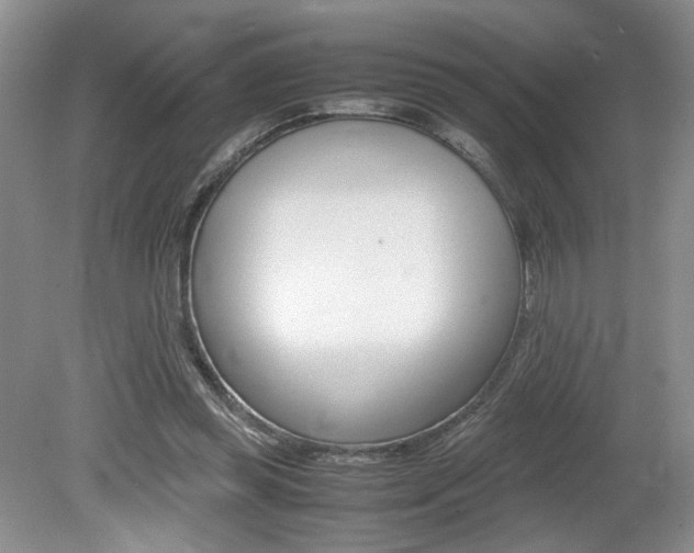 X0000080140349200612081032