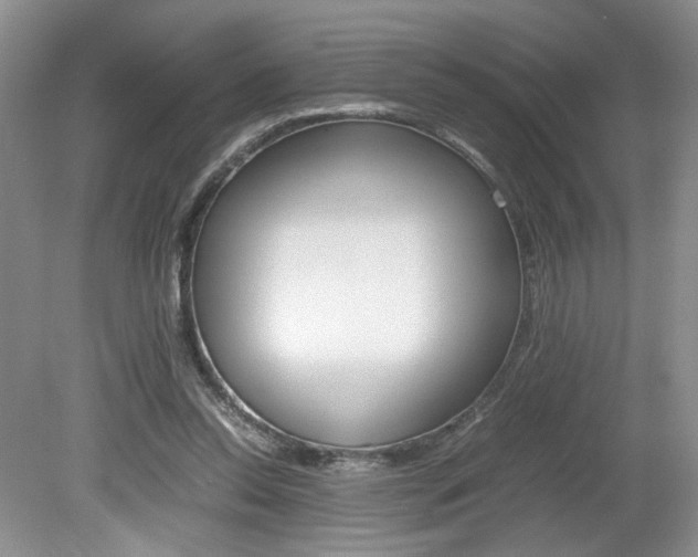 X0000080140350200612081032