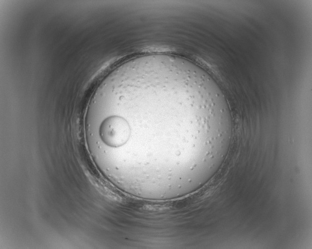 X0000080140351200612081032