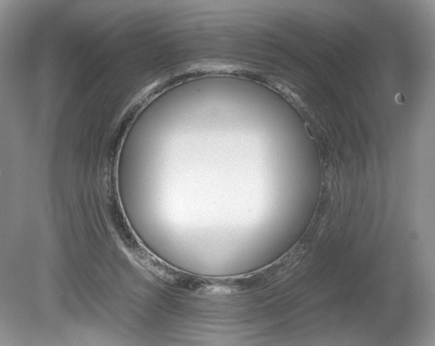 X0000080140352200612081032