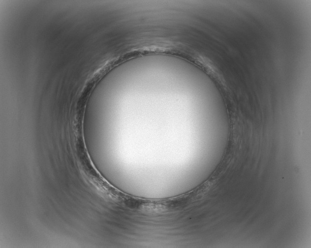 X0000080140354200612081032