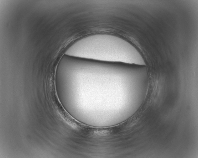 X0000080140357200612081032