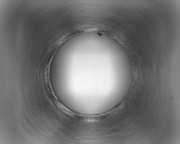 X0000080140360200612081032