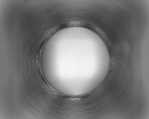 X0000080140361200612081032
