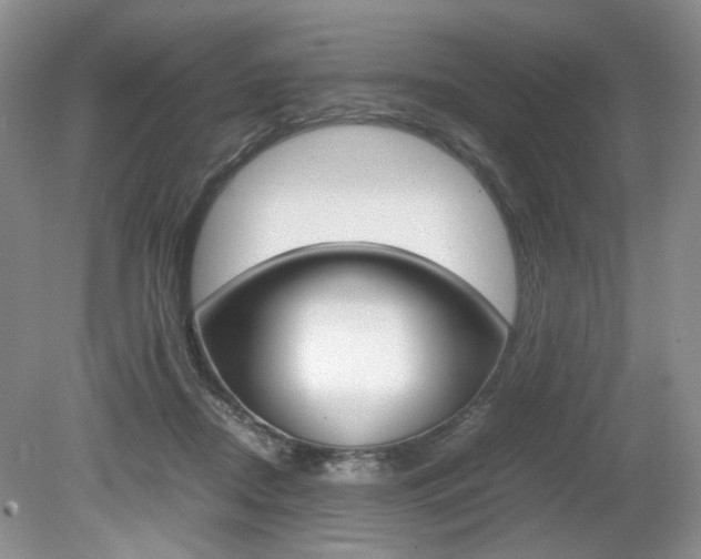 X0000080140362200612081032