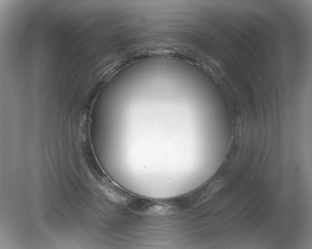 X0000080140364200612081032