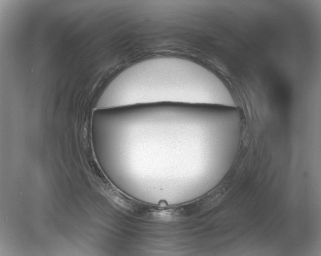 X0000080140365200612081032